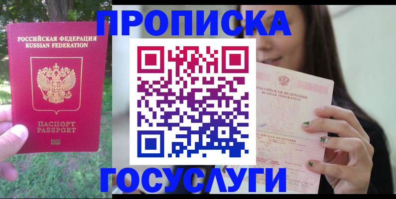 прописка паспорт в Новосибирской области